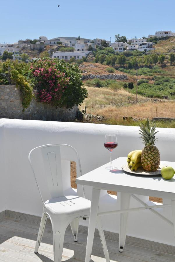 Naxian Album Villa Kaliope With Private Pool In Naxos Glinado Naxos Exterior foto